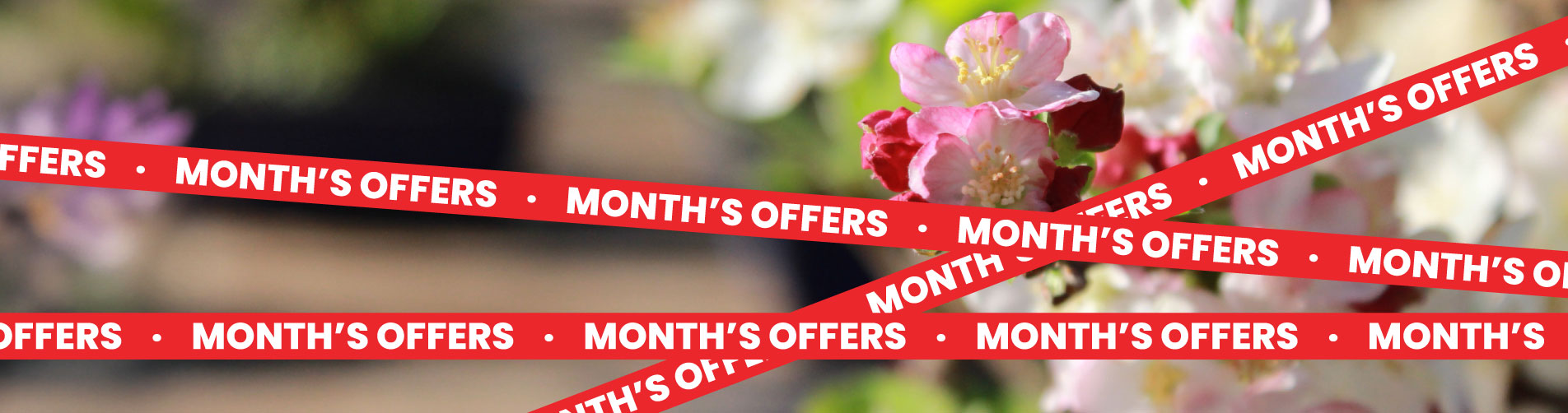 Offer May